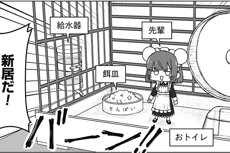 第7話 ハムスターな先輩と飼い主の後輩