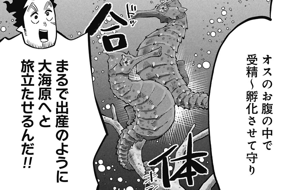 第6話 父なる海のオトシゴ①