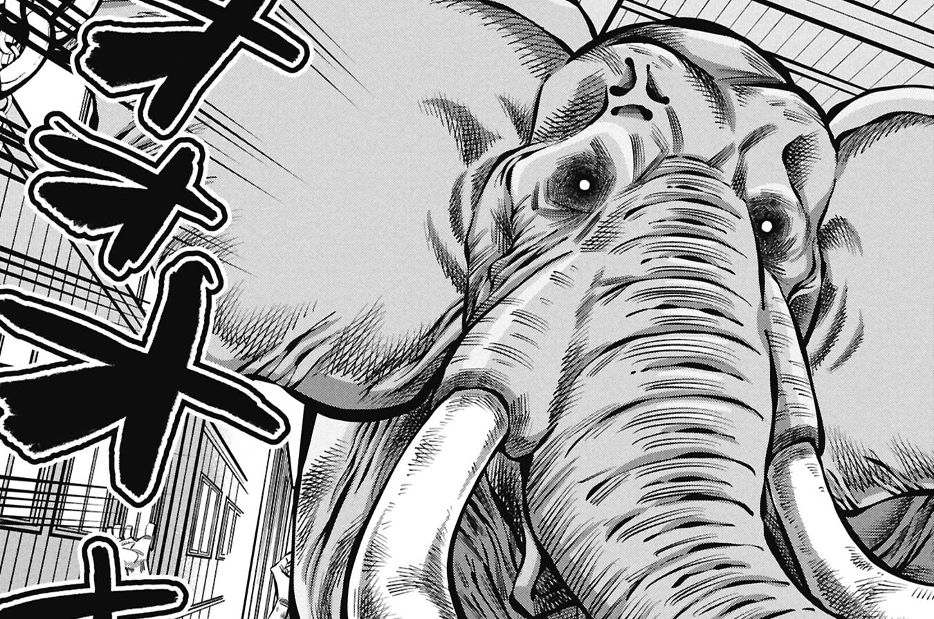 第8話 蠱惑のエレファント①