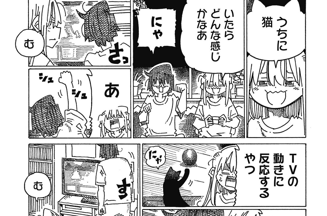 第641回