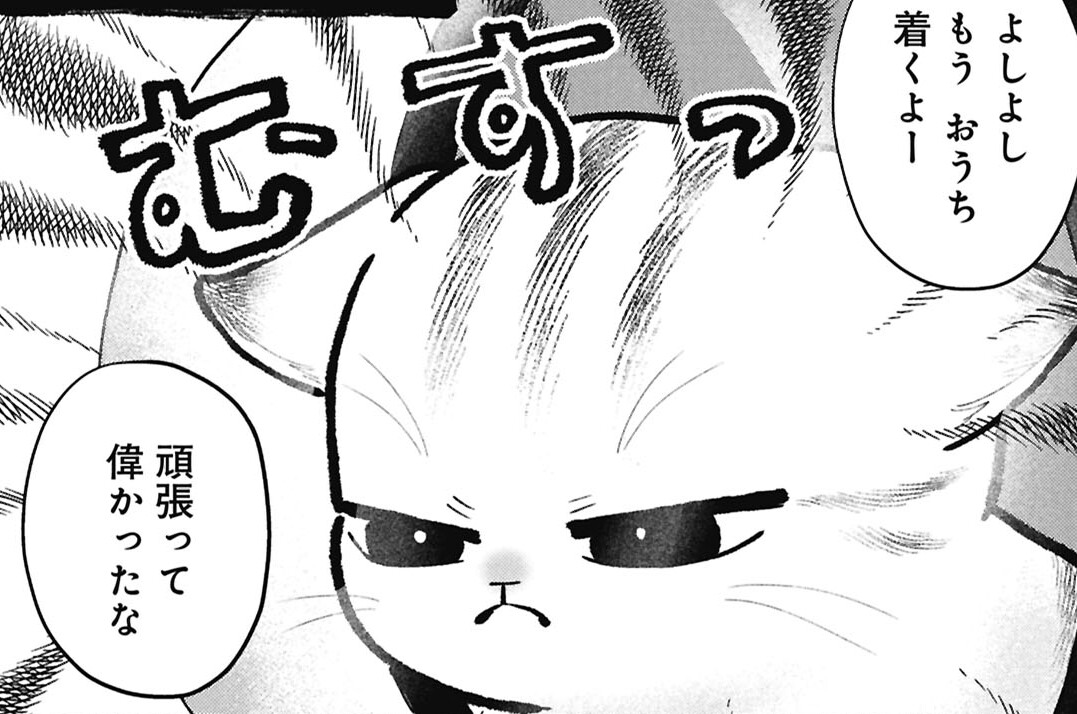 19：平穏なお出迎え