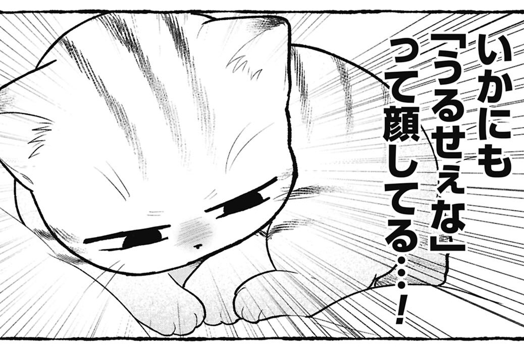 31：同じだから②