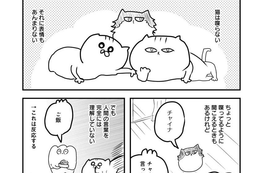 第58話 あたいと、ネチコヤンは読めない