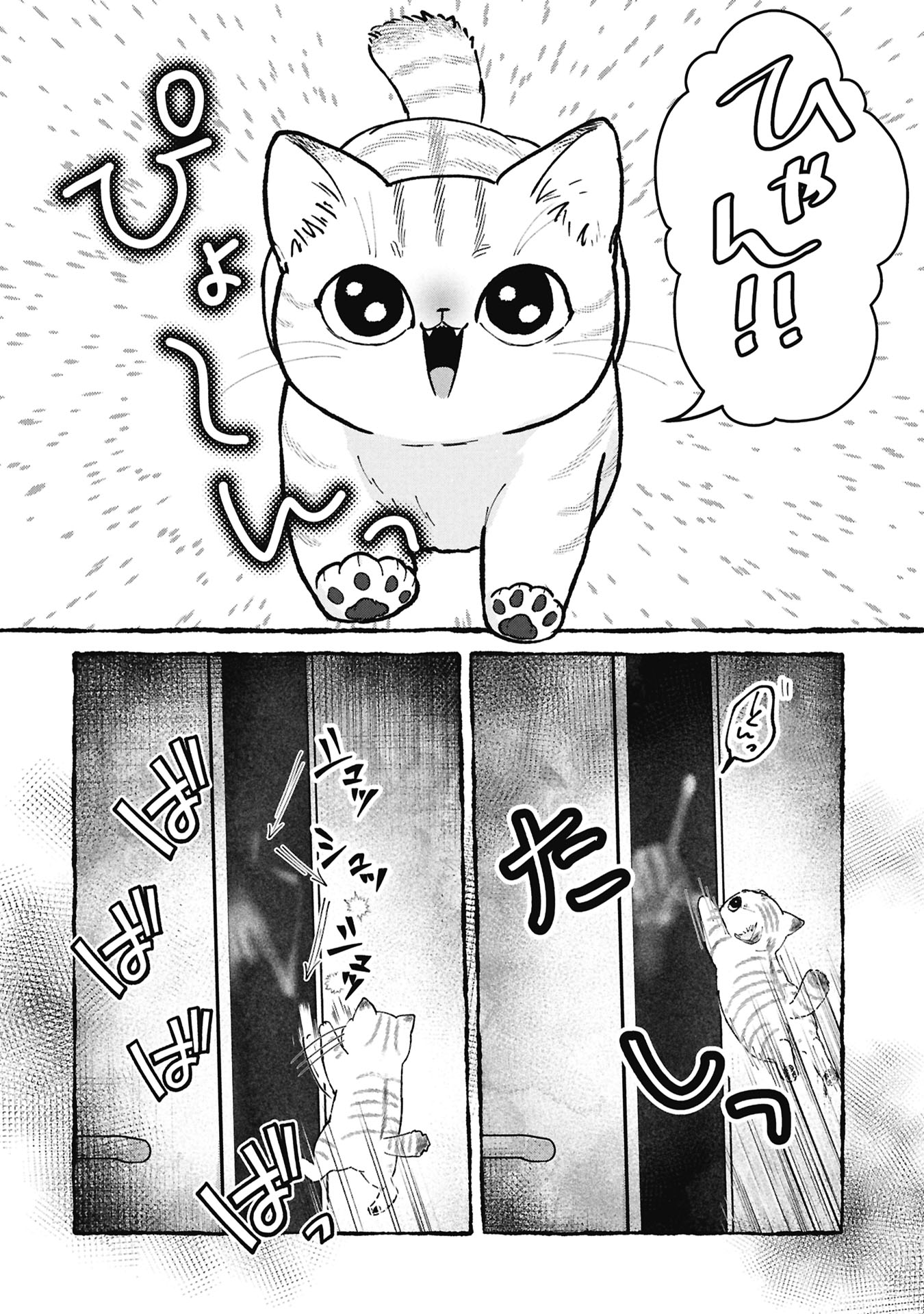 事故物件で猫を飼う