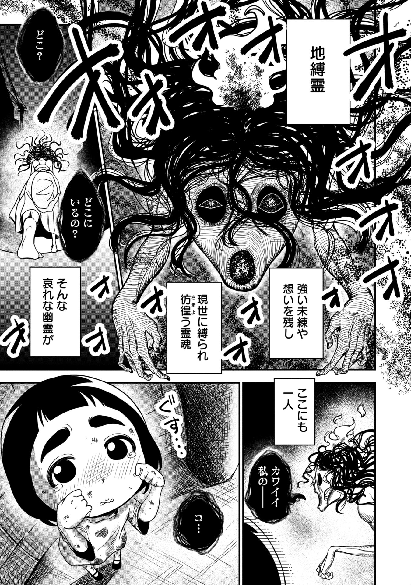 私の可愛いコ