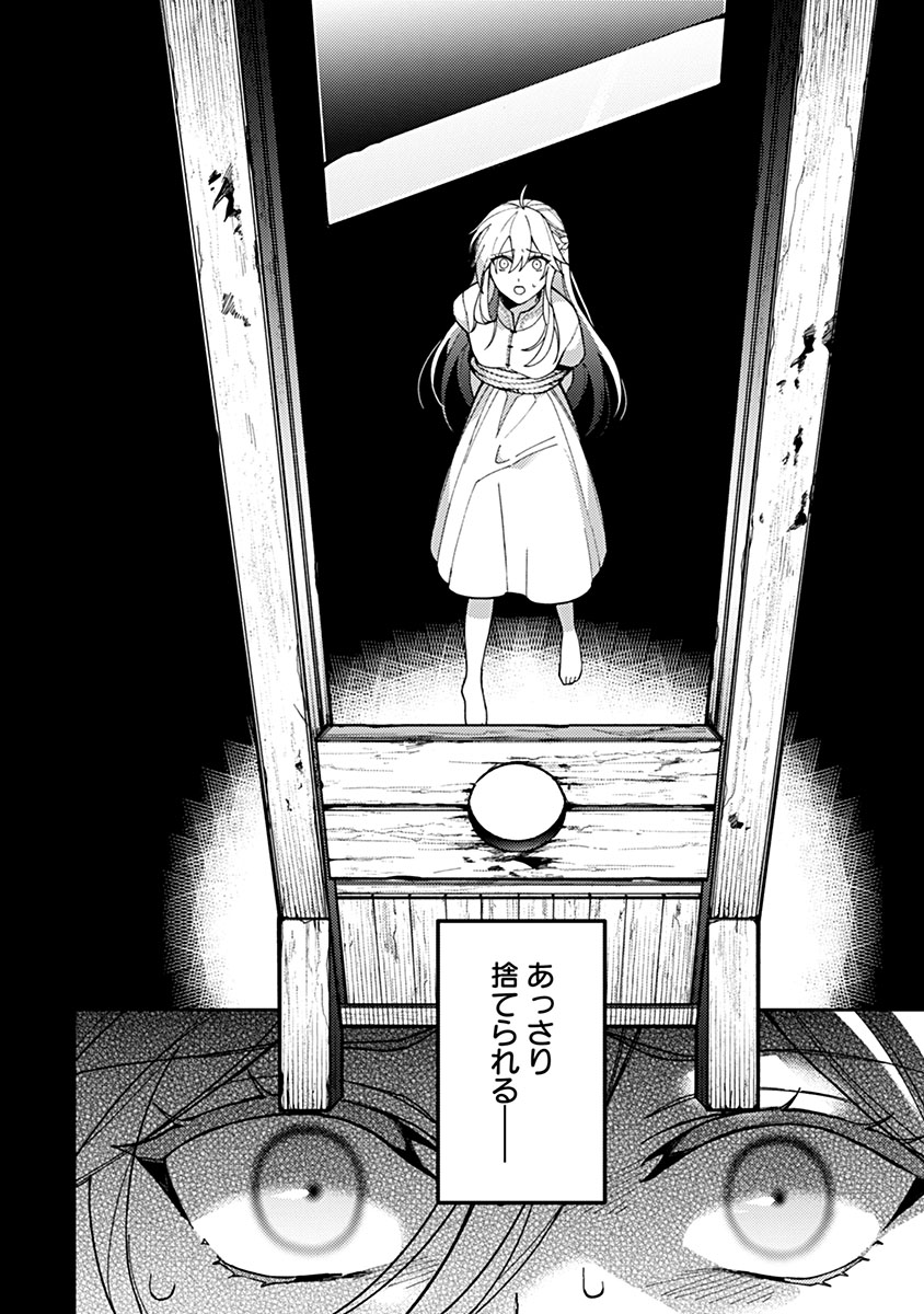 用済み聖女と毒殺軍師 ～毒の浄化ができる奇跡の聖女は私だけらしいです～